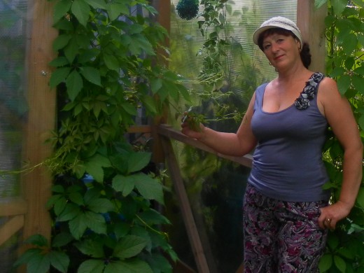 �����������